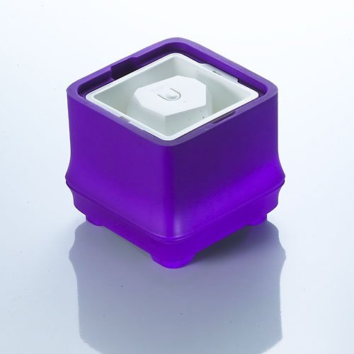 SPECIES 有種創意 POLAR ICE 極地冰盒方竹系列-角冰(紫色)