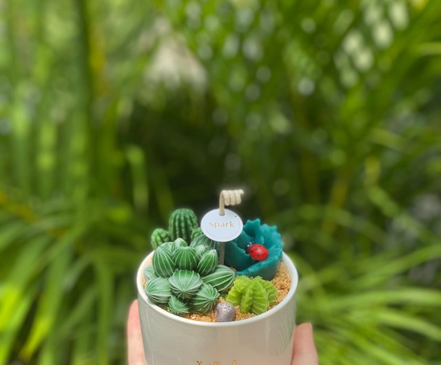 多肉植物の鉢植えキャンドル 手作りのサボテンの香りのキャンドル ショップ Sparkcandles キャンドル 燭台 Pinkoi