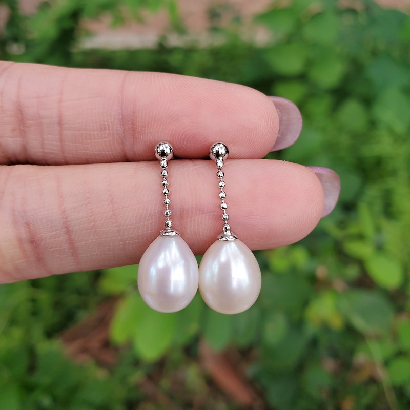Dainty Genuine Freshwater White Drop Pearls 925 Silver Chain Dangle Earring - ต่างหู - ไข่มุก ขาว