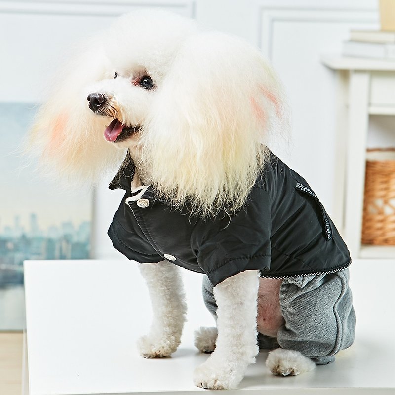 Pet Clothes Shiny Windproof Jacket (Black) - Clothing & Accessories - Cotton & Hemp Black