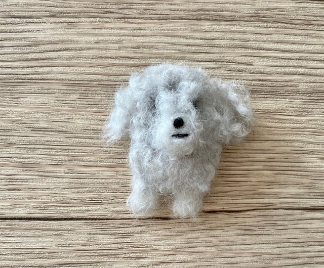 grey toy poodle