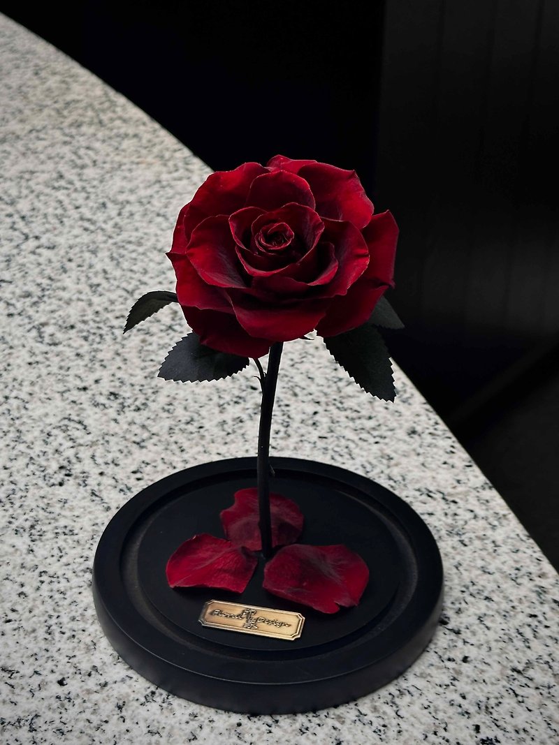 Valentine's Day Flower Gift/Beauty and the Beast Immortal Flower-Classic Invincible Rose M - Dried Flowers & Bouquets - Plants & Flowers Red