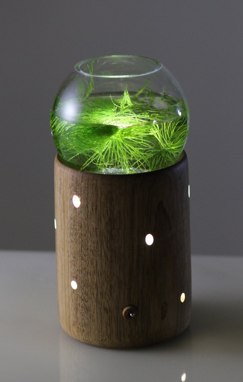 球型小花器 - 燈具/燈飾 - 木頭 