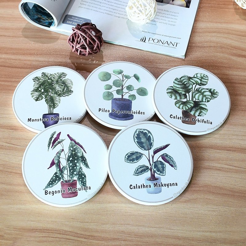 ttgarden original ceramic absorbent coasters – green plant series set-5 pieces - ที่รองแก้ว - ดินเผา 