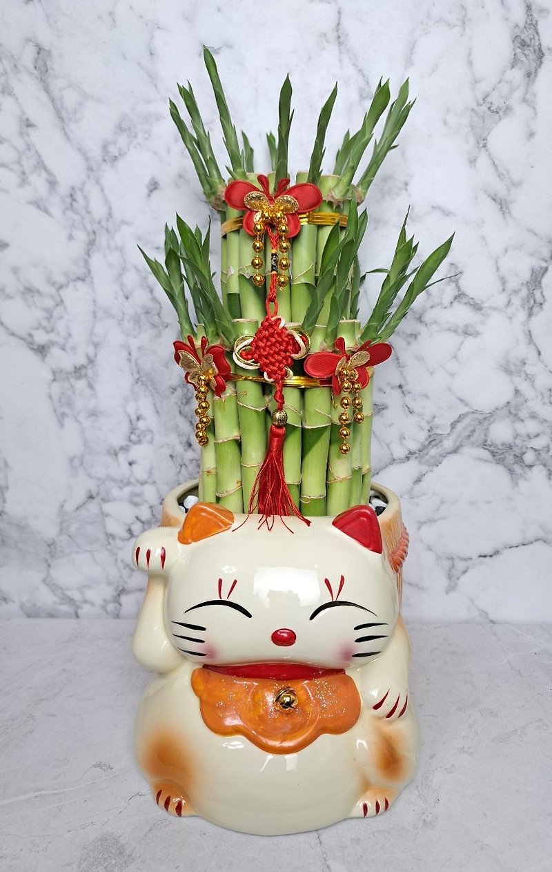 Qバージョンの招き猫 幸運の竹の開き 栄生喬が家に引っ越してきた ギフト組み合わせ ギフト洗面器 屋内水耕栽培 - 観葉植物 - 磁器 オレンジ