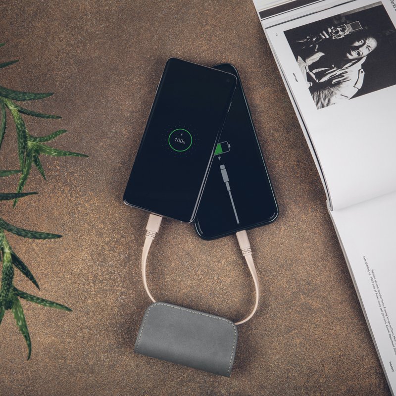 Faux Leather Chargers & Cables Gray - IonGo 5K Duo with USB-C to Lightning Cable