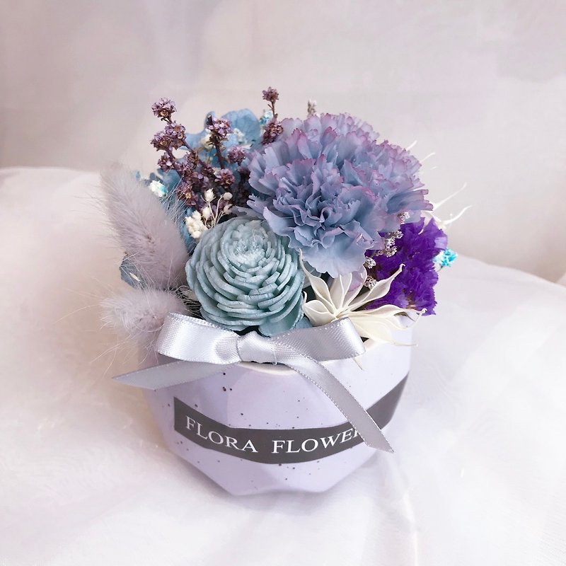 Flora flower Collection Carnation Eternal Life Small Potted Gift Box/ Potted Dry Bouquet Mother's Day Bouquet Birthday Gift Decoration Not Decay Mother's Day Flower Gift Box - Plants - Plants & Flowers Purple