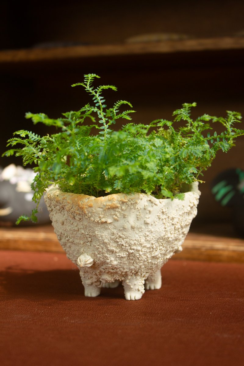 白巧克力奶油獸 盆器 植栽 花器 手作陶藝 獨一無二 禮物 送禮 - 盆栽/植栽 - 陶 