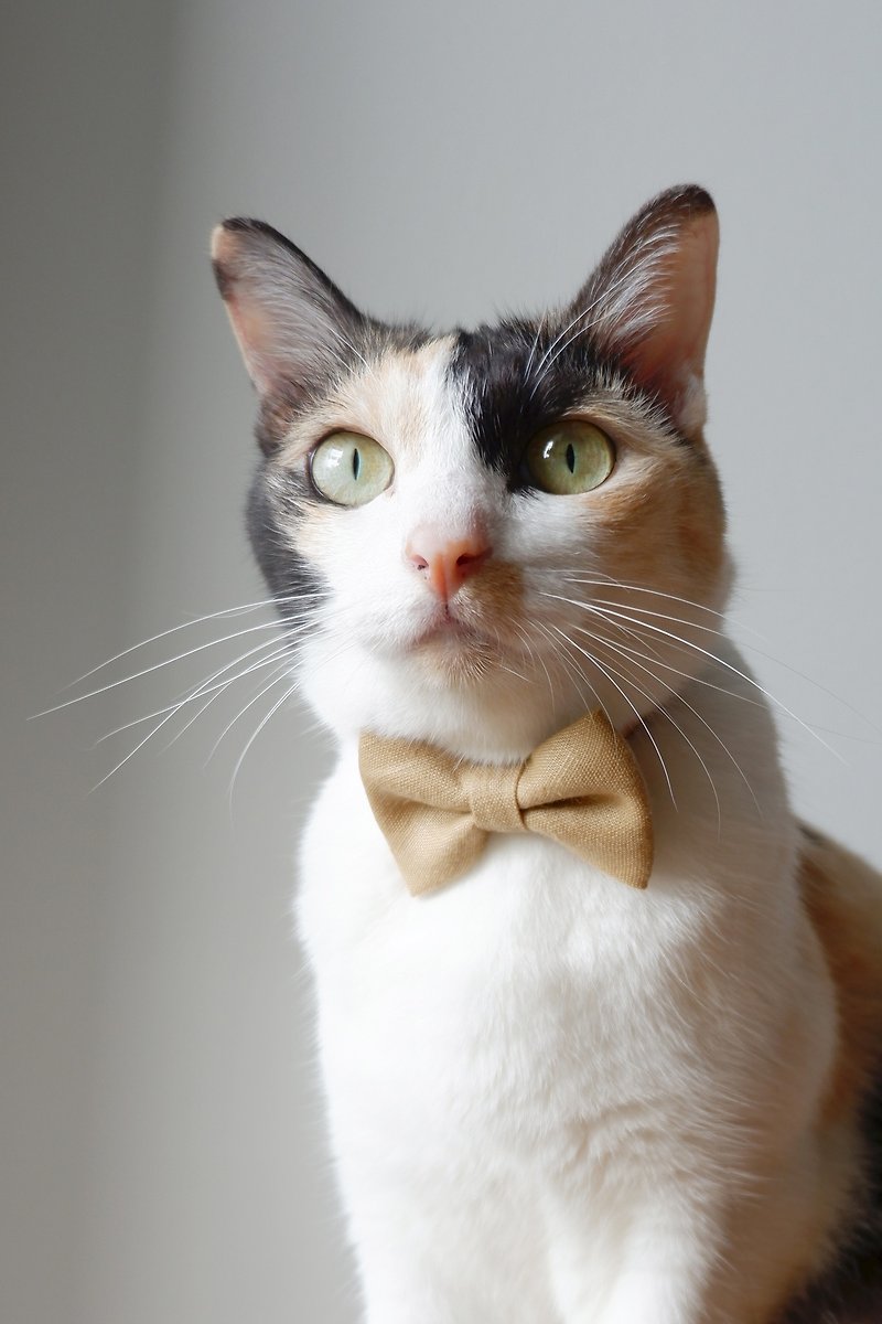 Earthy Breakaway Cat Collar : Wheat color - 貓狗頸圈/牽繩 - 棉．麻 卡其色
