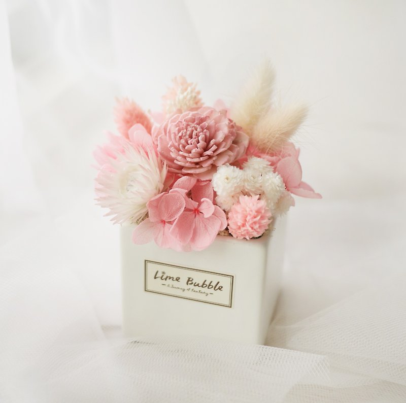 夢のピンクの愛小さな正方形の花の儀式 - 観葉植物 - 寄せ植え・花 ピンク