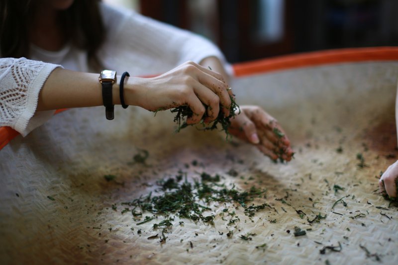 DIY手揉茶體驗活動/雙人活動(附茶飲)-4-11月季節限定 - 深度旅遊 - 新鮮食材 