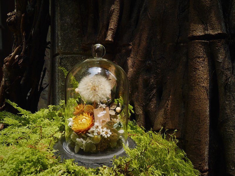 飛飛蒲公英•玻璃花盅 獨特石板底座 /客製化/祝福花禮 野地孵花 - 乾燥花/永生花 - 植物．花 透明