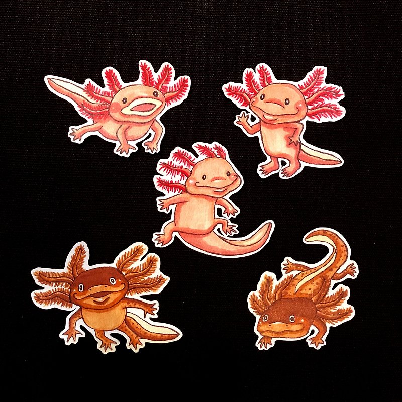 Hand-painted Hexagonal Dinosaur Baby Fish Salamander Sansho Fish Waterproof Sticker Set 5pcs - Stickers - Paper 