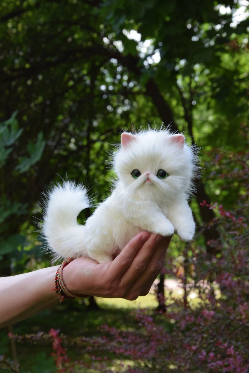 Persian Emerald Kitten - ตุ๊กตา - วัสดุอื่นๆ ขาว