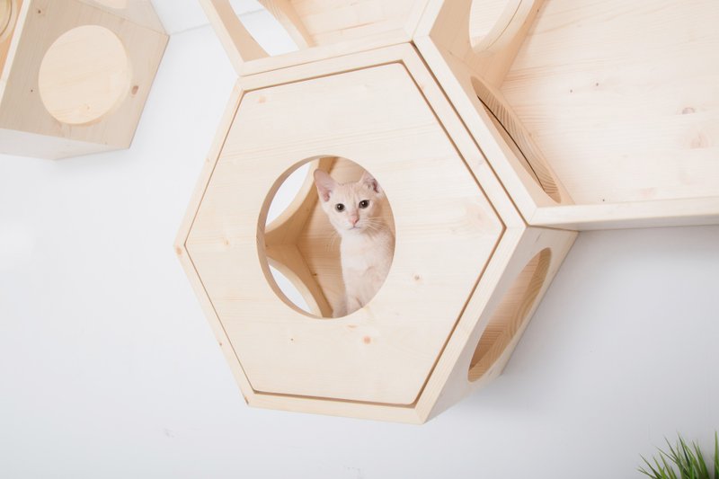 Hexagon Floating Cat Bed | Busy Cat Cover Plate | MYZOO - Scratchers & Cat Furniture - Wood Khaki