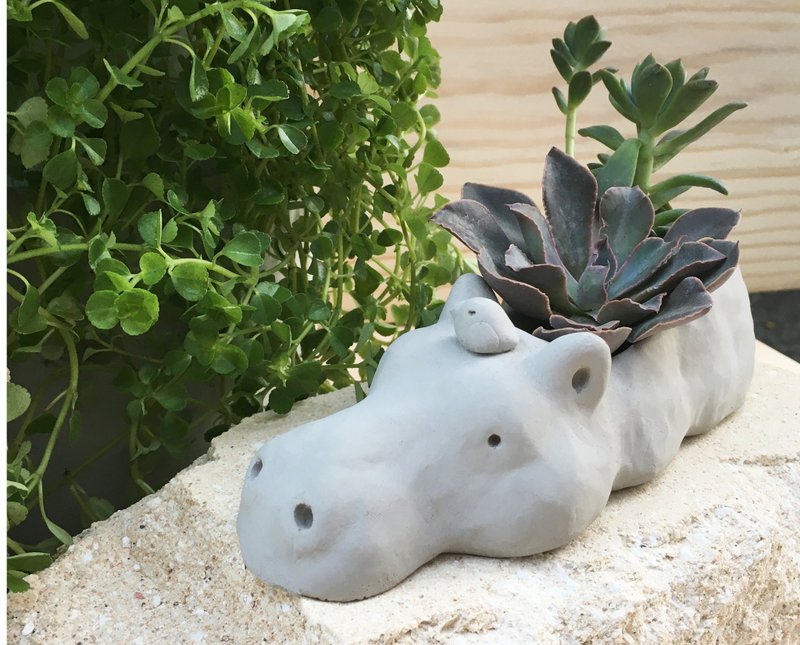 [Please wait for customization] Hippo and his bird friend open a shop in Cement basin to exchange gifts - Plants - Cement Gray