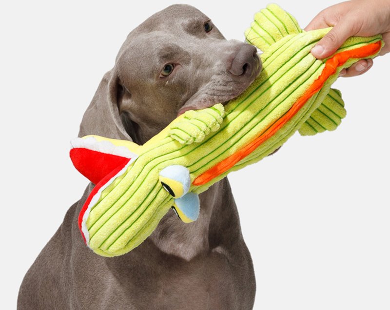 【愛心鱷魚】小型犬/耐咬磨牙發聲毛絨玩具 - 貓/狗玩具 - 其他材質 綠色