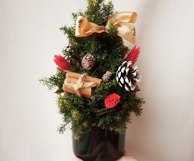 豊富なクリスマスツリー非常に花が咲き、不滅のフラワーギフト