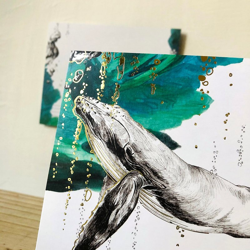 Humpback whale. Endangered Species: Postcard - การ์ด/โปสการ์ด - กระดาษ ขาว