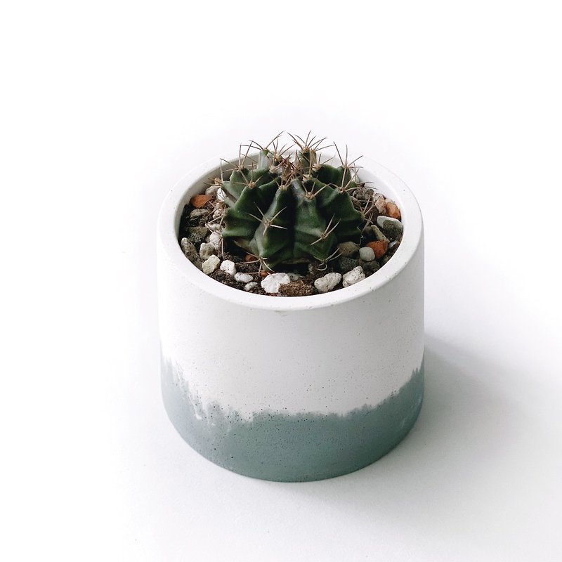 (Spot) Morandi Green Series | Scarlet Peony Cactus Round Cement Cactus Planting - ตกแต่งต้นไม้ - พืช/ดอกไม้ สีเขียว