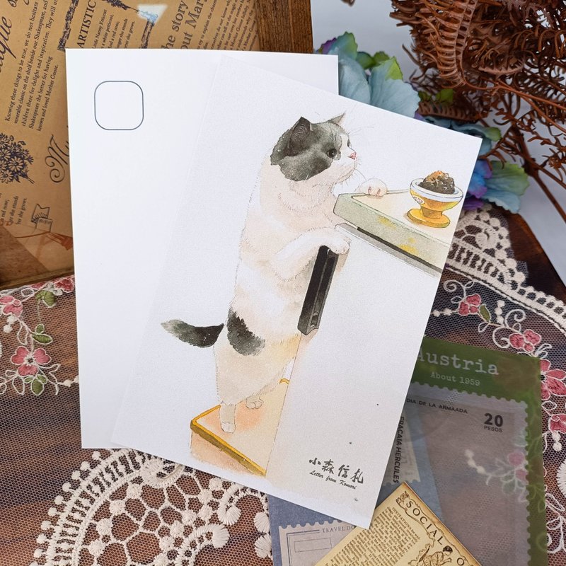 LS145貓咪明信片_06_Cat Postcard_06/明信片 - 卡片/明信片 - 紙 多色
