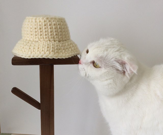 Cat hat, crochet pattern, bucket hat for cat, cute cat hat, cat