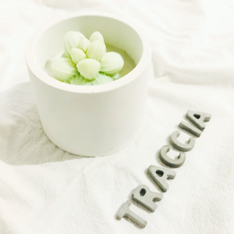 Aroma Series - Succulent Concrete Candle / Matte White - Fragrances - Cement White