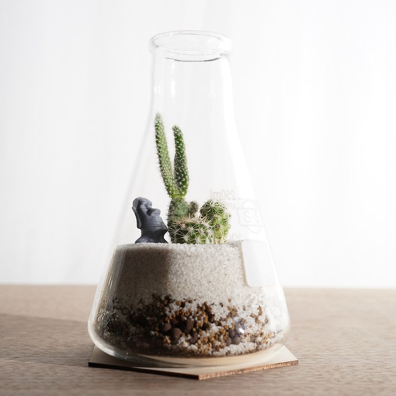 Moai and a 250ml conical beaker [Plant Warranty] Gift - Plants - Plants & Flowers Green
