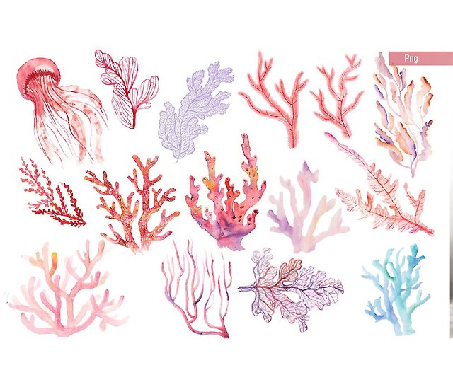 生きている珊瑚。 PNG要素とイラスト。クリップ・アート - ショップ ...