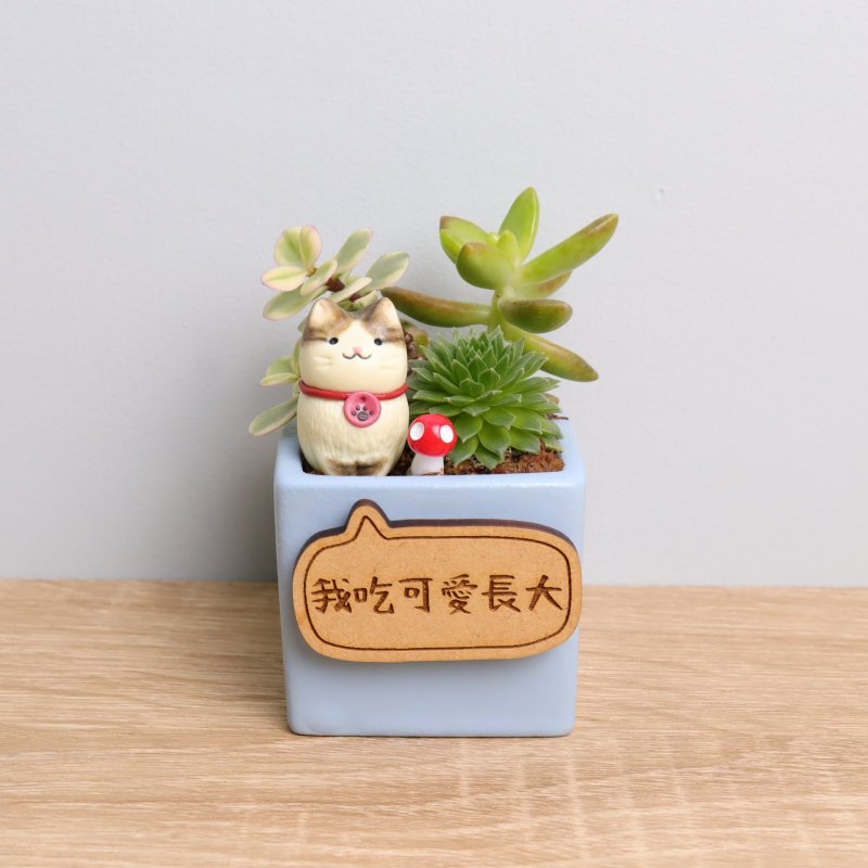 Cat Succulent Plant Potted Lettering Plaque Customized Christmas Birthday Wedding Opening Gift Healing - ตกแต่งต้นไม้ - ไม้ สีน้ำเงิน