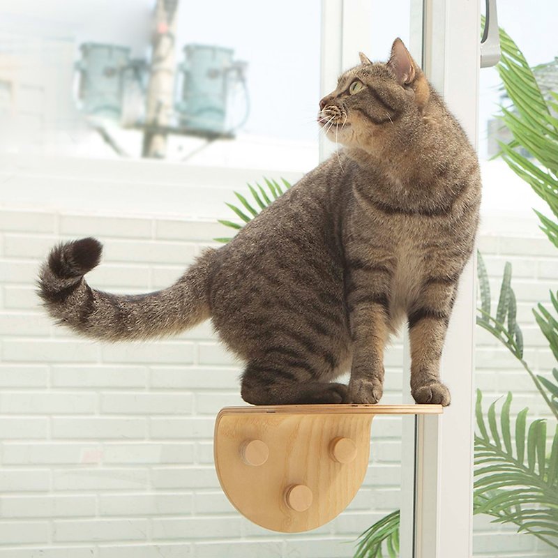 【mysig Meow Walking in the Sky】Cat Springboard Suspension Type/Window and Wall Dual-purpose/High Elasticity/Series Jumping Moving Line - Scratchers & Cat Furniture - Wood 