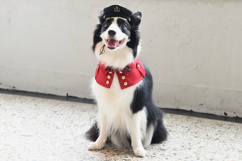 ZAZAZOO 王者風範系列 - 劍橋公爵雙排扣寵物風衣+領結+軍禮帽套組