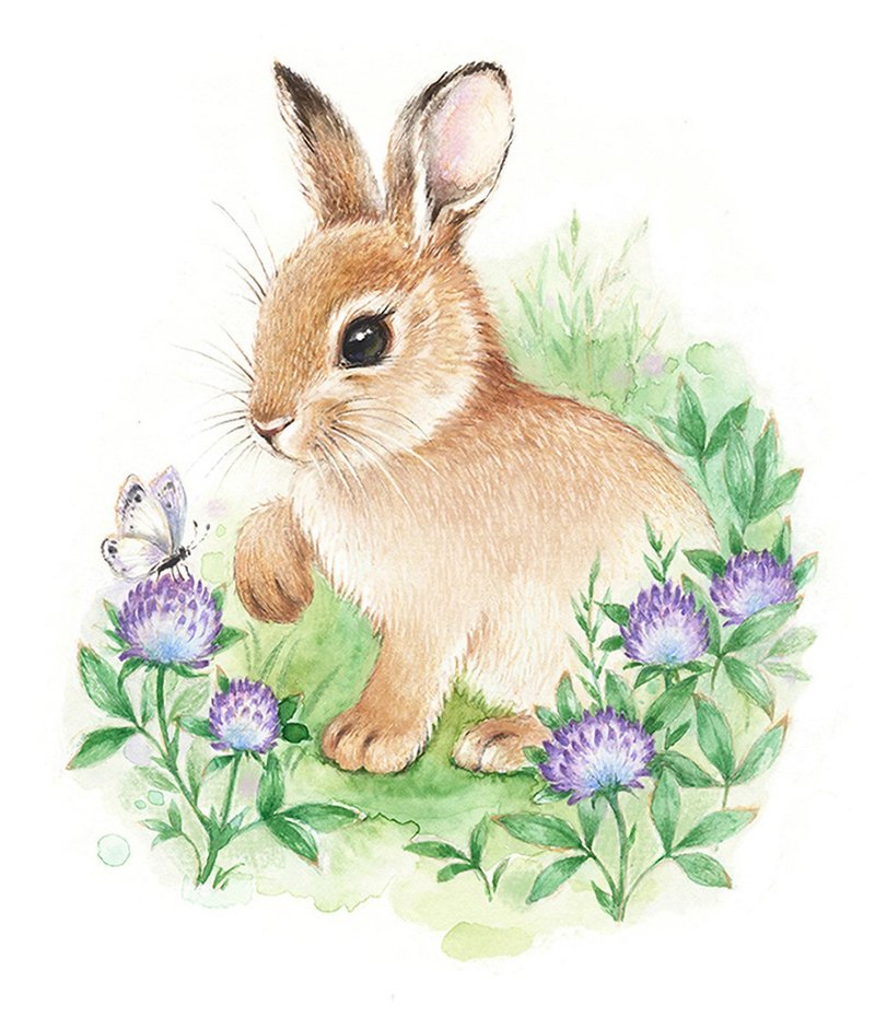 Rabbit Print, Bunny Watercolor Print, Rabbit Art - โปสเตอร์ - กระดาษ สึชมพู