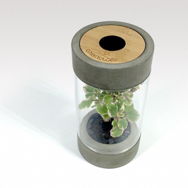 Greenology 水泥滴灌花器 - 盆栽/植栽 - 水泥 灰色