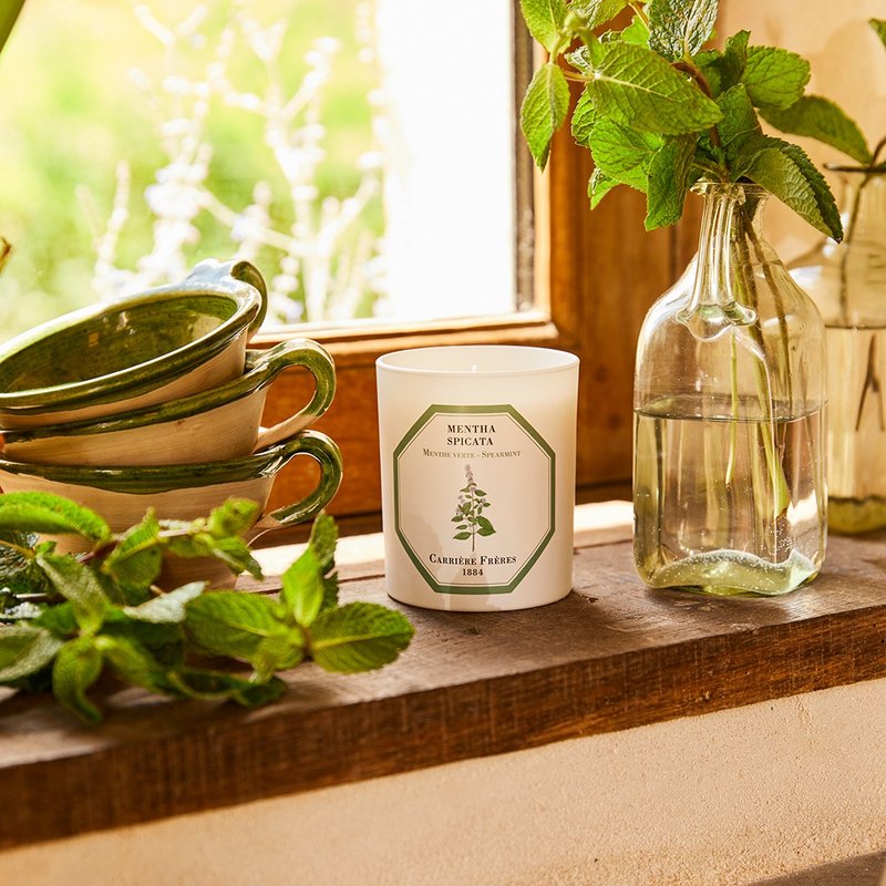 Carrière Frères 薄荷香氛蠟燭 - 香氛蠟燭/燭台 - 陶 白色