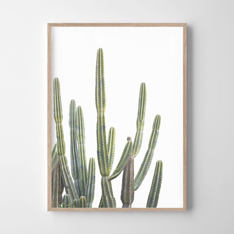 desert cactus print #4 畫 佈置 擺飾 臥室 浴室 餐廳 咖啡廳 - 擺飾/家飾品 - 紙 