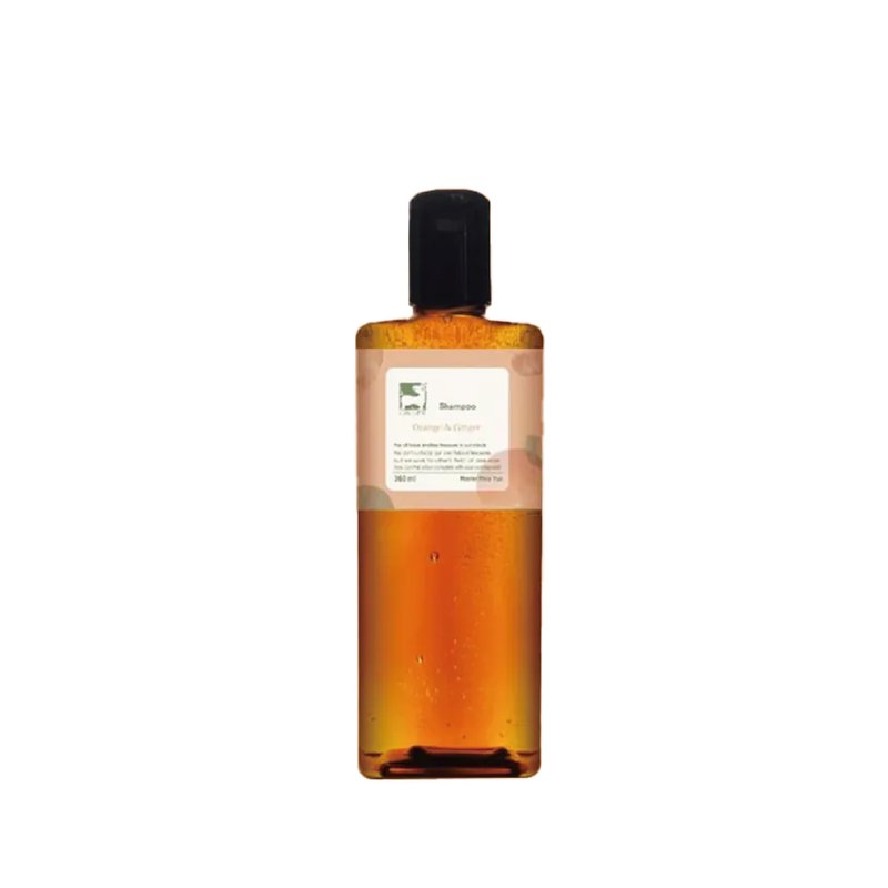 Sweet Ginger Dan Tangerine Ginger Fen Shampoo 360ml - Shampoos - Concentrate & Extracts 