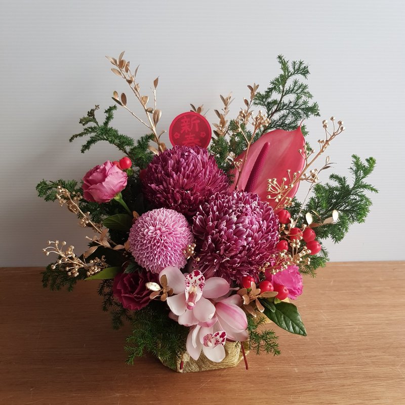 鮮花盆花│牡丹菊賀迎新春│祝賀花禮 居家裝飾  新年盆花 - 盆栽/植栽 - 植物．花 紅色