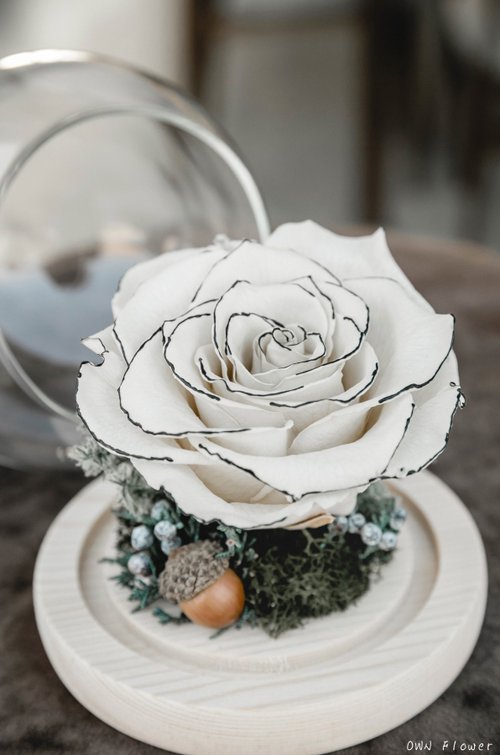 OWN Flower花藝設計 小香風永生玫瑰/聖誕禮物/永生花玻璃盅/生日禮物/交換禮物/不凋