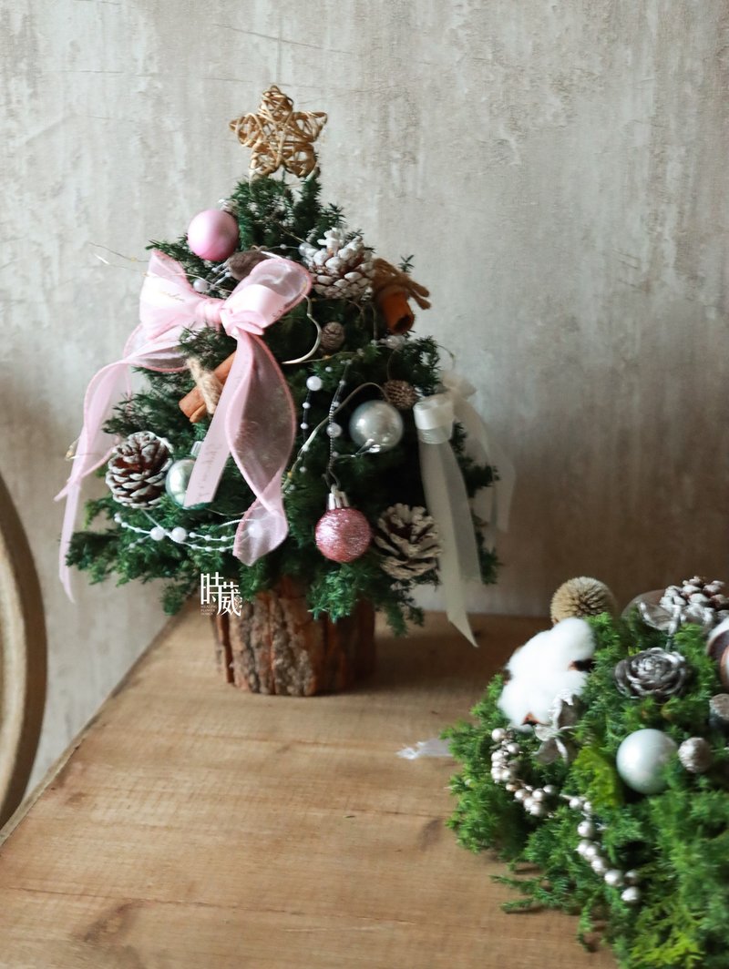 Christmas Course_Pink Bubble_Eternal Cedar_Christmas Tree Course/Taichung Classroom - จัดดอกไม้/ต้นไม้ - พืช/ดอกไม้ 