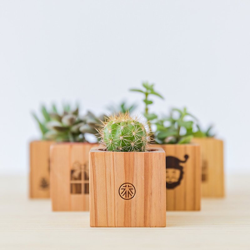 [Cryptomeria Magnet Pot] No Plants Included│Succulent Log Flower Arrangement Graduation Gift Teacher Gift - ตกแต่งต้นไม้ - ไม้ 