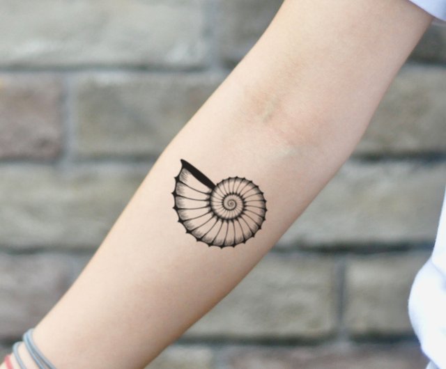 Meaning of Shell Tattoos  BlendUp