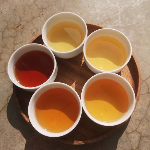鹿苑茶莊1935--以茶為媒介，傳遞臺灣這座島嶼的故事與溫暖 選茶重點【鹿苑茶譜】三大系列茶葉-羅列品嘗建議