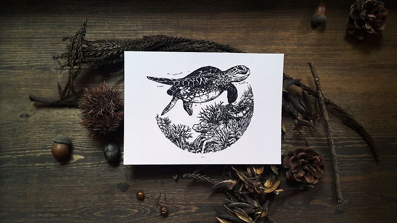 Tortoise postcard - Cards & Postcards - Paper Black