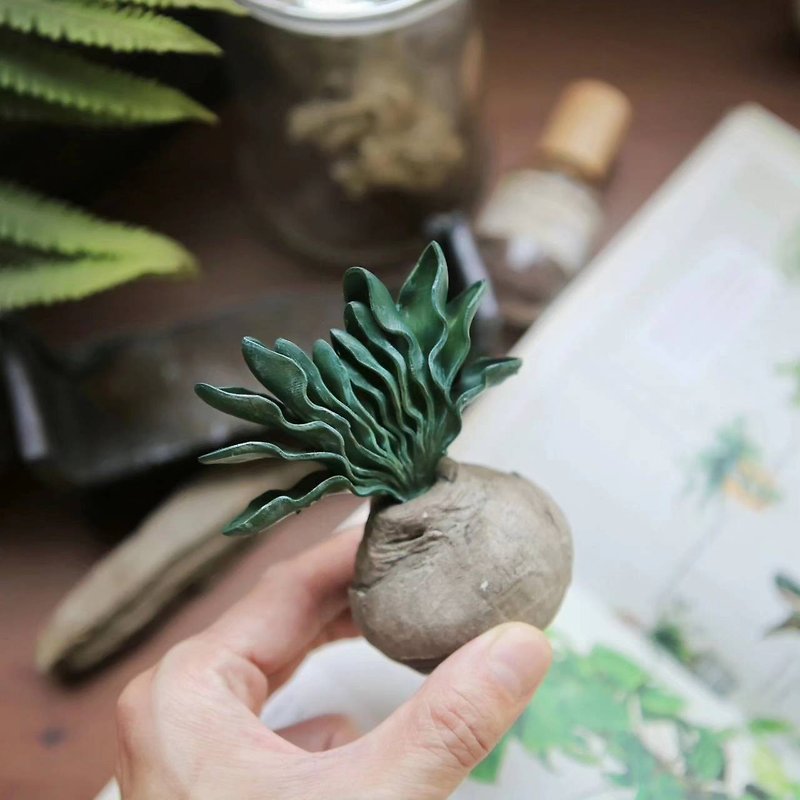 Caudex Aromastone- Root Plant Diffuser Stone-Egg of Giant Phoenix - น้ำหอม - วัสดุอื่นๆ สีเขียว