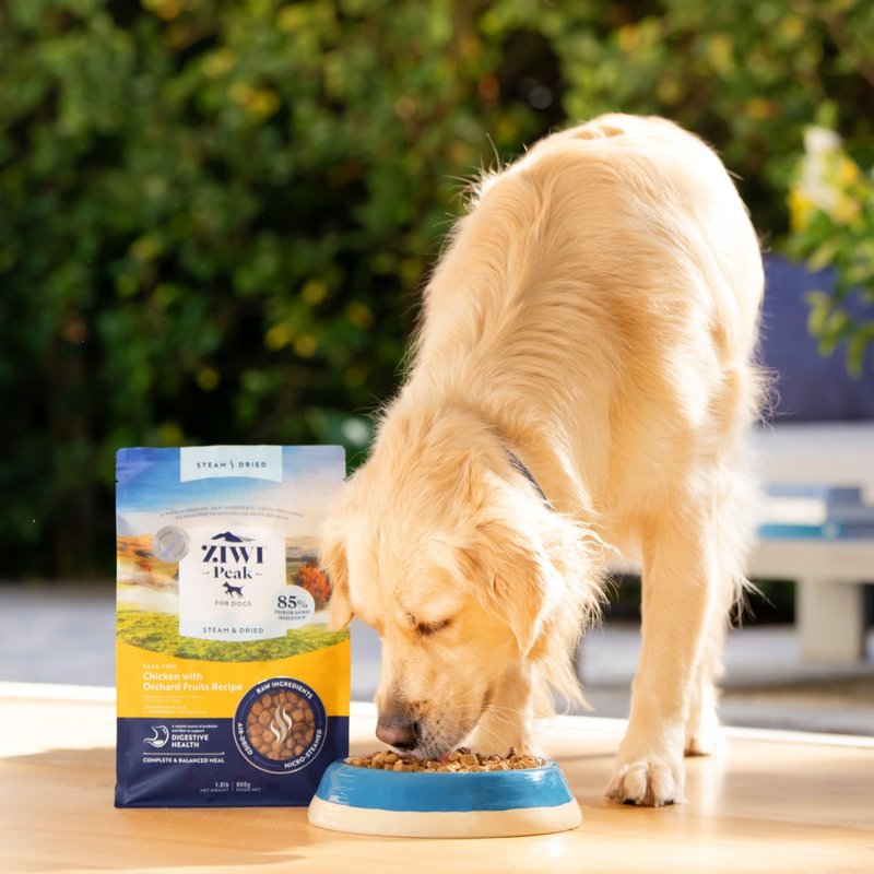 [Dog staple food] ZIWI Peak Chicken Flavor Slightly Steamed Series Dog Food Dog Feed Pellets - Dry/Canned/Fresh Food - Fresh Ingredients 