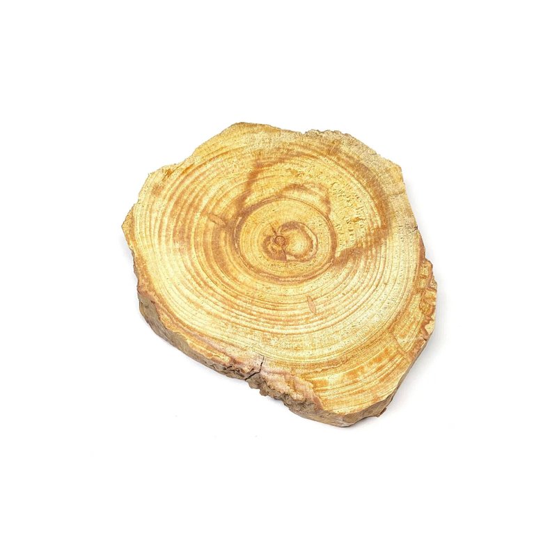 【漢礼】 秘魯聖木原木片 (港澳限定) - 擺飾/家飾品 - 木頭 