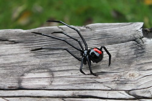 ブラック・ウィドウ グッズ ガラス スパイダー ミニチュア ガラス