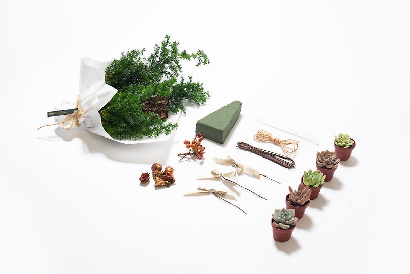 クリスマスプレゼント | Forest Joy DIY素材セット - 観葉植物 - 寄せ植え・花 