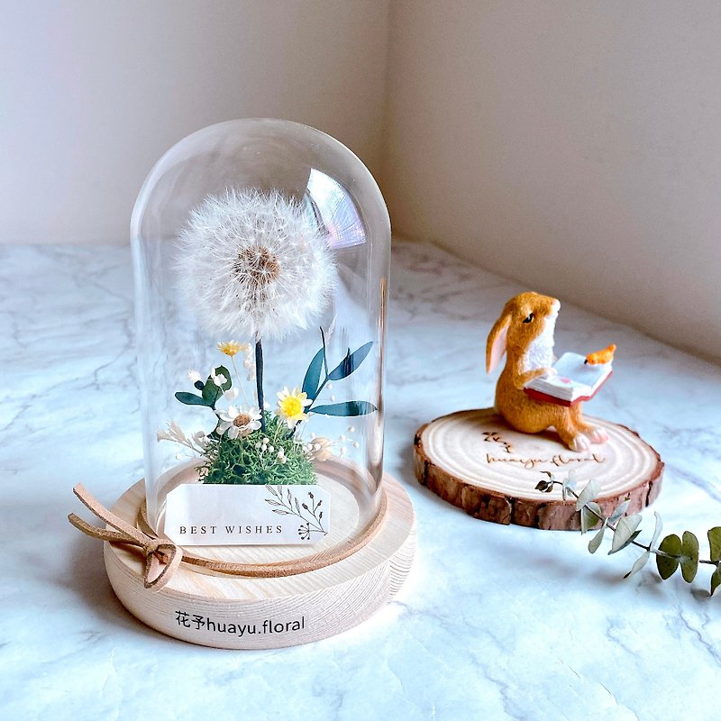 (Fast Shipping) Small Everlasting Dandelions Dried Peanuts Birthday Graduation Exchange Gifts Bridesmaid Gifts - Dried Flowers & Bouquets - Plants & Flowers White